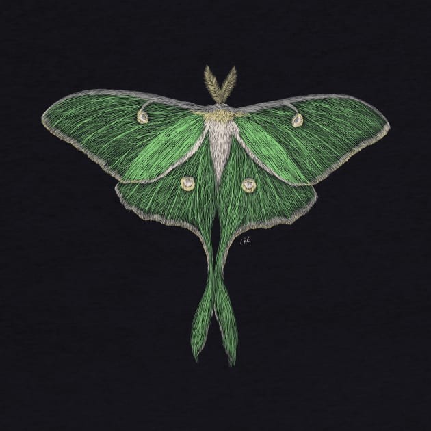 Luna Moth by Walking in Nature